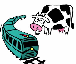 Les 2 vaches et le tgv